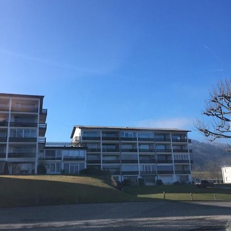 Apartment Traunsee 阿尔特穆斯特 外观 照片